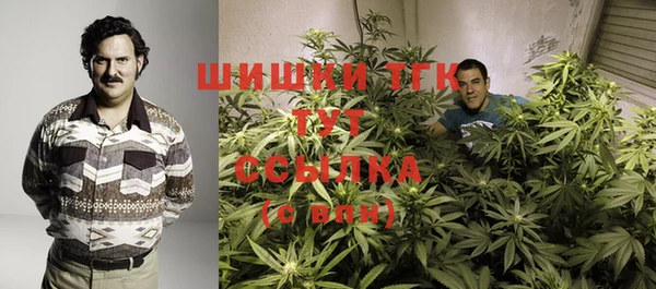 Альфа ПВП Абаза